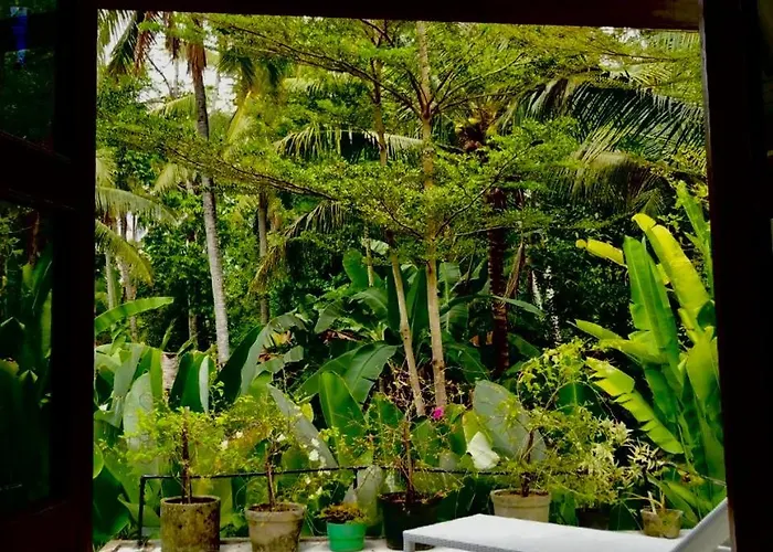 Auroville Private Garden