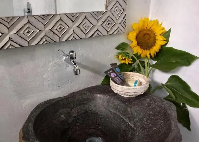 Auroville Private Garden 招待所