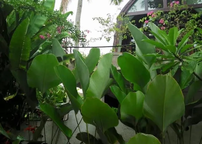 Auroville Private Garden